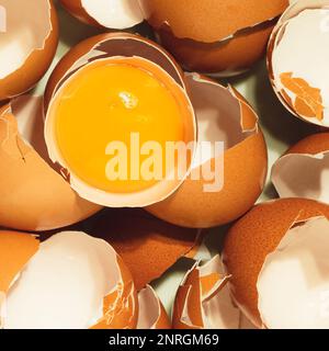 Uncooked yolk between broken eggs. top view photography. Chicken raw eggs. Shell egg, fragility of shell. concept food photography Stock Photo