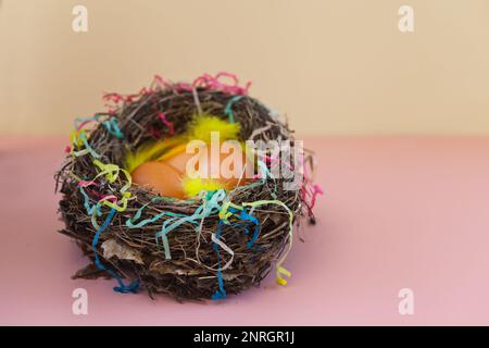 easter chicken eggs in nest on pink background. colourful images with natural feathers Stock Photo