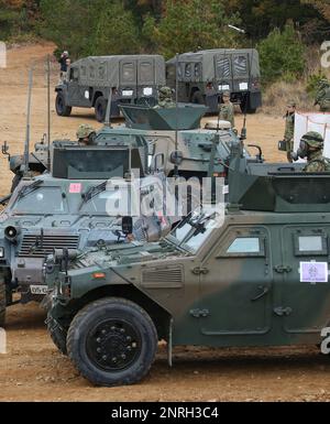 Memebers of the Japan Ground Self-Defense Force are searching for ...