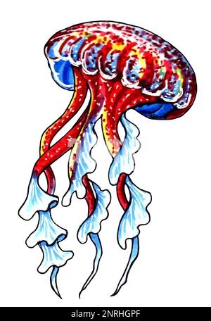 Red and blue jellyfish with wavy tentacles. JPEG illustration marine animals. Stock Photo