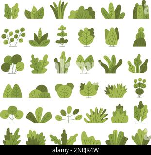Bushes. Leaves grass trees recent vector gardening illustrations creation kit bushes Stock Vector