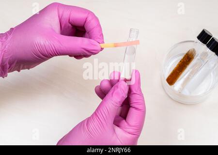 gloved hands holding test tube with liquid and litmus paper showing pink color, acid pH level over light desk Stock Photo