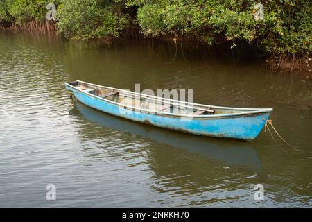 a lone boat moored on the banks of a mangrove on the island of Divar in Goa, India. Stock Photo