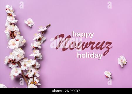 Sprigs of the apricot tree with flowers on pink background Text Happy Nowruz Holiday Concept of spring came Top view Flat lay Hello march, april, may, Stock Photo