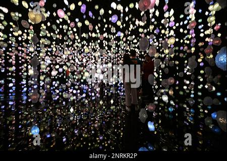 Installation by Swiss artist Pipilotti Rist at the National Museum of Qatar Stock Photo