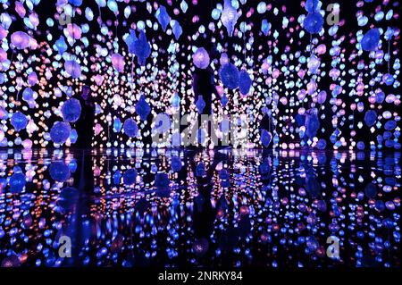 Installation by Swiss artist Pipilotti Rist at the National Museum of Qatar Stock Photo