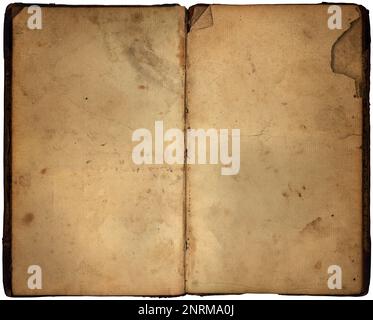Two facing pages, both empty, of a very rugged looking, worn 19th century book. Lots of room for copy. Stock Photo