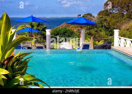 Pool with wiev to the ocean on tropical island , Relaxation concept, Trinidad and Tobago, Copy space Stock Photo