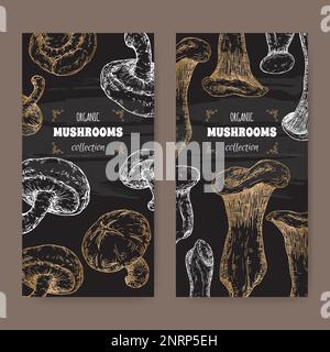 Two labels with Lentinula edodes aka shiitake and Pleurotus eryngii aka king oyster mushroom sketch on black. Stock Vector