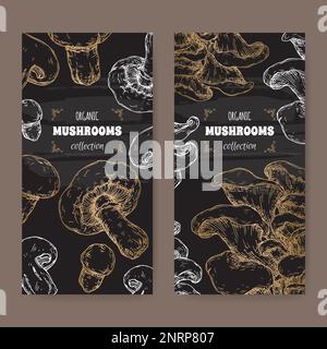 Two labels with Agaricus bisporus aka common mushroom and Pleurotus ostreatus aka oyster mushroom sketch on black. Stock Vector