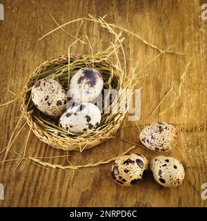 Fresh organic quail eggs in rustic wicker baskets on rough rural wooden table and background. Square, close up, top view. Stock Photo