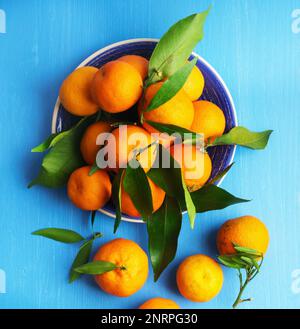 Tangerines (oranges, mandarins, clementines, citrus fruits) with leaves in blue plate on  wooden background. Organic vegetarian food. Winter local fru Stock Photo