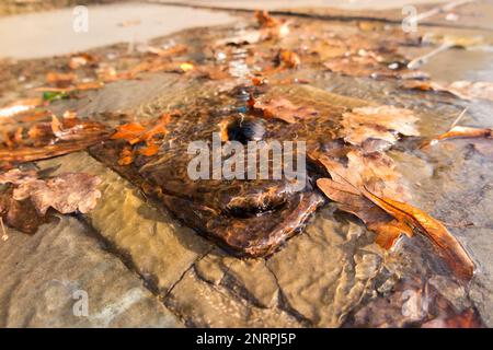 A leaking water valve cover in blue Stock Photo - Alamy