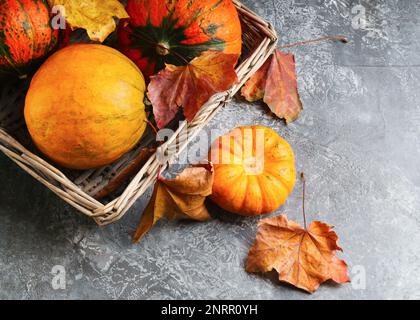 Autumn orange pumpkins and yellow fallen leaves in wicker basket  on gray rouge cement table. Thanksgiving Background. Copy space. Stock Photo