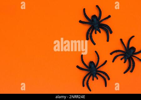 Halloween background with spiders as symbols of Halloween on the orange ...