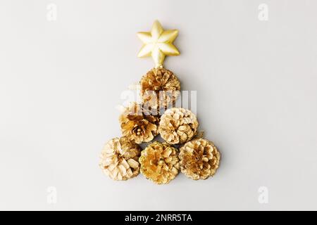 Christmas tree branches. Christmas concept, nature, winter. Background for  postcards. Flat lay, top view Stock Photo by ©Surgay 318485986