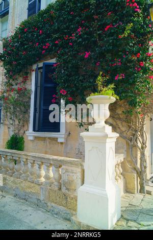 Traditional classic style wooden medieval vintage facade and dark blue painted windows in Mdina,Malta. Green plants with flowers near stone wall. Clas Stock Photo