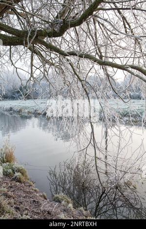 Winter scene on the river Waveney near Mendham, Suffolk, UK Stock Photo