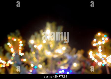 Light blurred multicolored lights on a real Christmas tree outside in the snow. Bokeh. Stock Photo