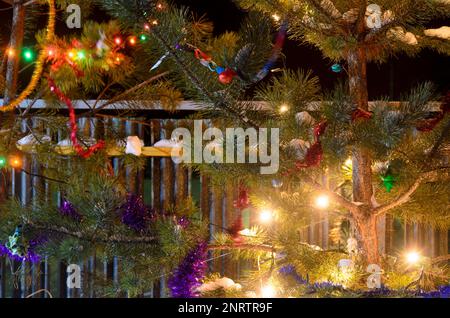 Light blurry multi-colored lights of garlands on a real Christmas tree with tinsel and balls on the street in the snow at night. Bokeh. Stock Photo