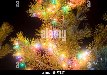 Light blurry multi-colored lights of garlands on a real Christmas tree with tinsel and balls on the street in the snow at night. Bokeh. Stock Photo
