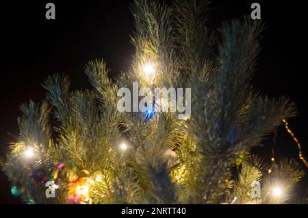Light blurry multi-colored lights of garlands on a real Christmas tree with tinsel and balls on the street in the snow at night. Bokeh. Stock Photo