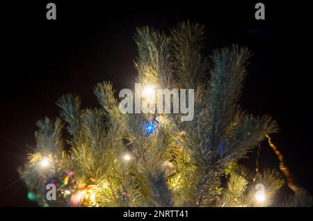 Light blurry multi-colored lights of garlands on a real Christmas tree with tinsel and balls on the street in the snow at night. Bokeh. Stock Photo