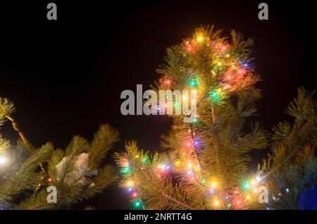 Light blurry multi-colored lights of garlands on a real Christmas tree with tinsel and balls on the street in the snow at night. Bokeh. Stock Photo