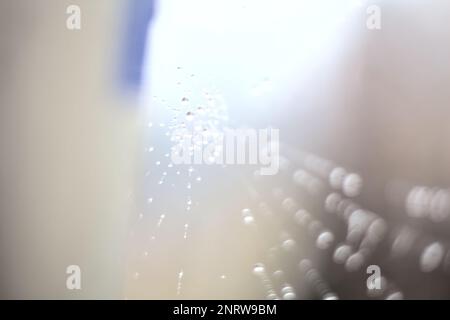 Spider  web with drops on it seen up close Stock Photo