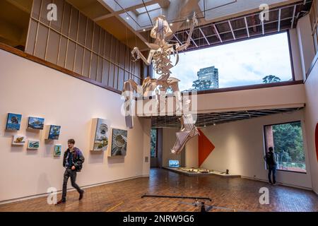 Exhibition, Modern Art Museum, MAMBO, Bogota, Colombia Stock Photo