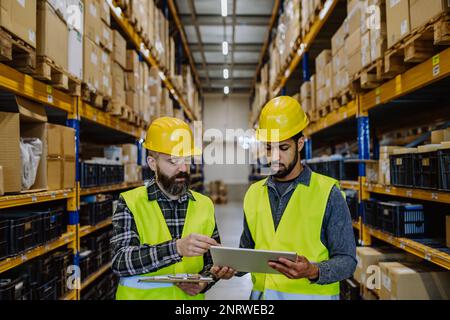 Warehouse workers checking stuff in warehouse with digital system in tablet. Stock Photo