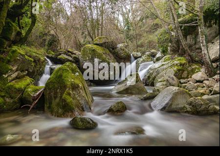 Rochers, rivière et chutes d'eau dans un décor vert de sous-bois Stock Photo