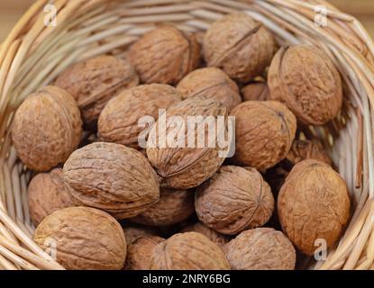 Ripe walnuts in the basket Stock Photo