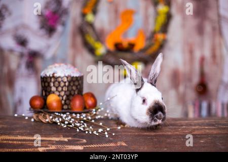 Fluffy foxy white rabbit with Easter eggs Stock Photo