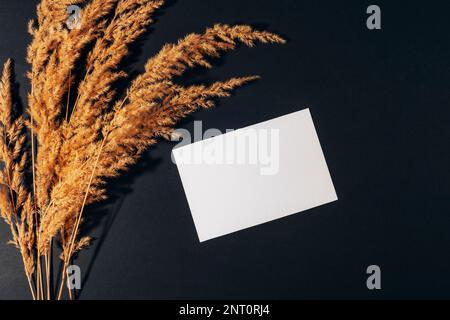 Pampas grass and blank card on black background. Top view, flat lay, mockup. Stock Photo