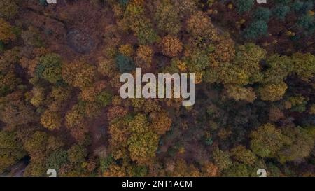 Beautiful colored forest seen from above. Aerial drone footage of Belgian forest in Antwerp in autumn shot by a drone. High quality photo Stock Photo
