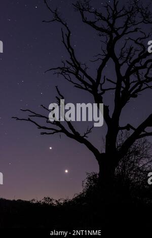 two planets near conjunction, Jupiter above Venus, End of February 2023, shining brightly low in night sky over UK Stock Photo