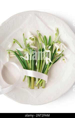 Plate with beautiful snowdrops and ribbon on white background Stock Photo