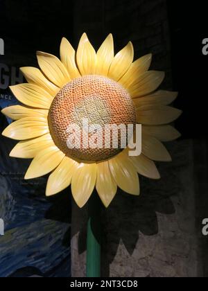 A large wooden sunflower greets you at the entrance to the Immersive Van Gogh Experience in Leicester, an iconic emblem of the artist's paintings. Stock Photo