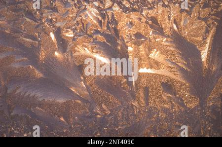 Frost on the window. Stock Photo