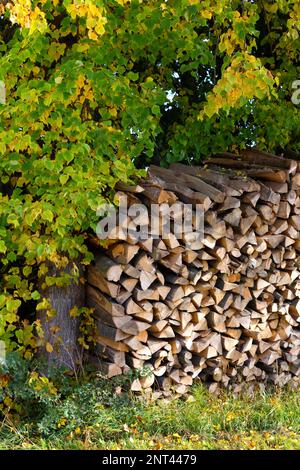 Energy crisis in europe with increasing prices: Woodpile with freshly staggered and chopped wood Stock Photo