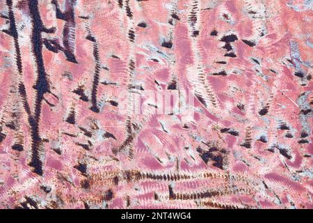 Full frame close-up on a rusty iron plate. Stock Photo