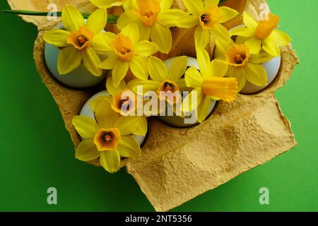 Happy Easter holiday background concept. Easter decoration with flowers in egg shells. Creative easter layout made of daffodils with egg shells Stock Photo