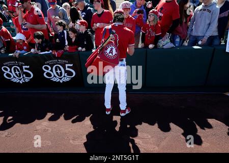 Los Angeles Angels' Brett Phillips fields a base hit by Texas Rangers'  Bubba Thompson during the xx inning of a spring training baseball game,  Saturday, March 18, 2023, in Tempe, Ariz. (AP