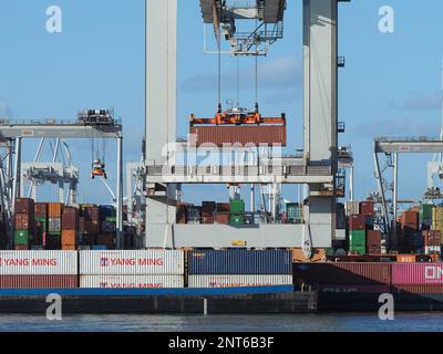 Loading containers onto a smaller ship for transport further inland, at the ECT container terminal in the Port of Rotterdam, the Netherlands Stock Photo