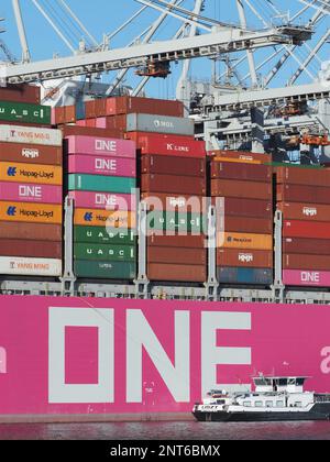 One Ocean Express ONE Ocean network express logo Stock Photo - Alamy