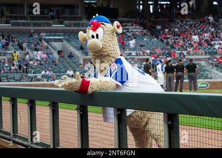 ATLANTA, GA - MAY 13: Atlanta Braves mascot, Blooper, before the MLB game  between the Toronto Blue Jays and Atlanta Braves on May 13, 2021, at Truist  Park in Atlanta, GA. (Photo