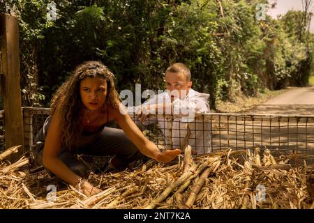 OUTER BANKS, from left: Madison Bailey, Rudy Pankow, The Diary ...