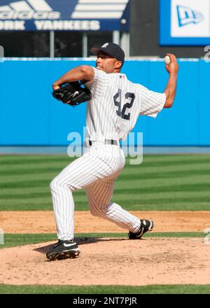 Yankee All-Stars 2019  Yankees, New york yankees, Yankees baseball