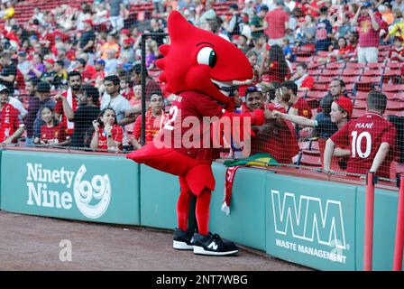 New York, NY - July 24, 2019: Sporting CP fans pose with lion Jubas mascot  of club before pre-season game against Liverpool FC at Yankee stadium game  ended in draw 2 - 2 Stock Photo - Alamy